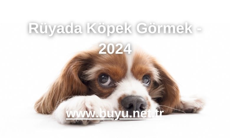 Rüyada Köpek Görmek - 2024