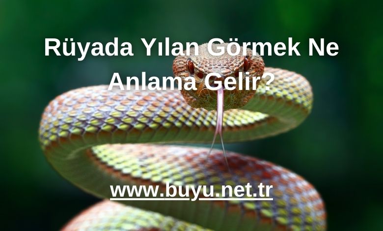 Rüyada Yılan Görmek Ne Anlama Gelir?