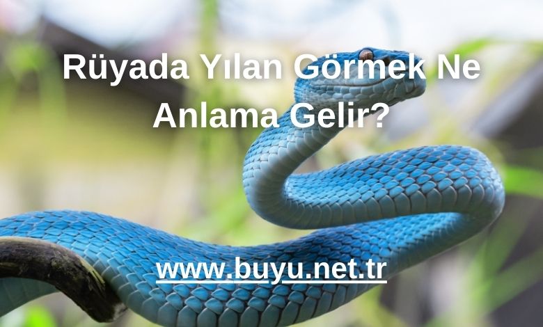 Rüyada Yılan Görmek Ne Anlama Gelir?