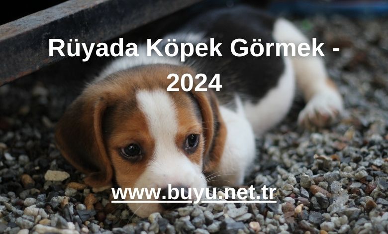 Rüyada Köpek Görmek - 2024