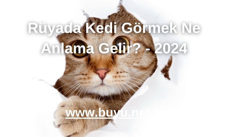Rüyada Kedi Görmek Ne Anlama Gelir? - 2024