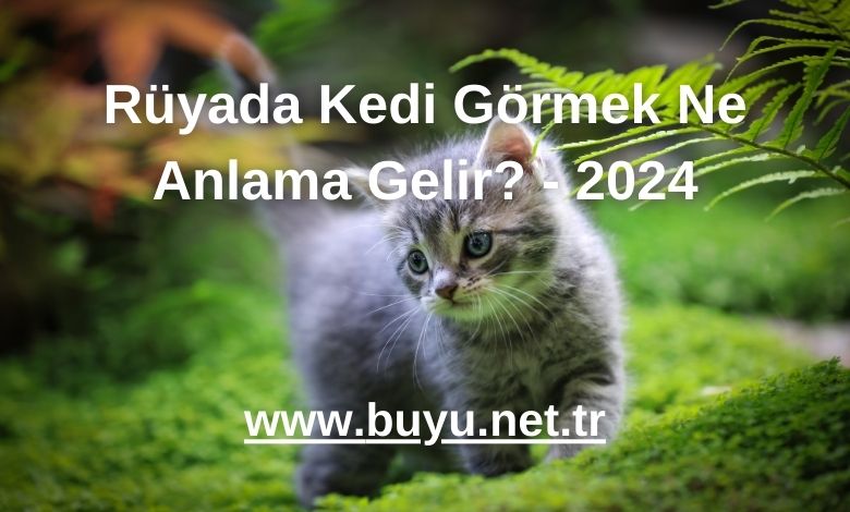 Rüyada Kedi Görmek Ne Anlama Gelir? - 2024