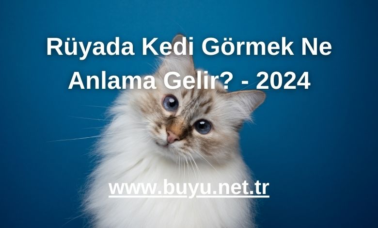 Rüyada Kedi Görmek Ne Anlama Gelir? - 2024
