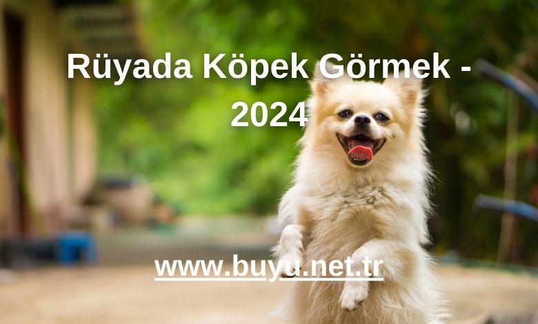 Rüyada Köpek Görmek - 2024